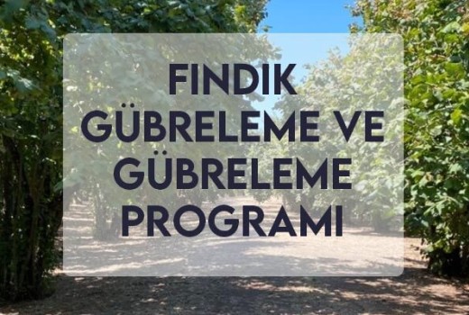 Fındık Gübreleme ve Gübreleme Programı Fındık Gübreleme ve Gübreleme Programı