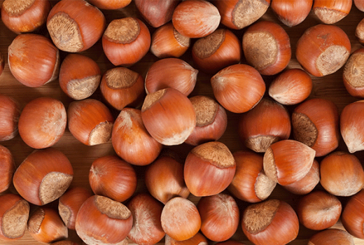 Fındık Üretiminde Solucan Gübresi