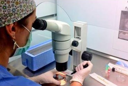 Gübre Analiz Laboratuvarları ve Analiz Ücretleri Gübre Analiz Laboratuvarları ve Analiz Ücretleri