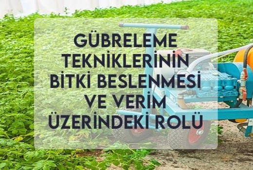 Gübreleme Tekniklerinin Bitki Beslenmesi ve Verim Üzerindeki Rolü Gübreleme Tekniklerinin Bitki Beslenmesi ve Verim Üzerindeki Rolü