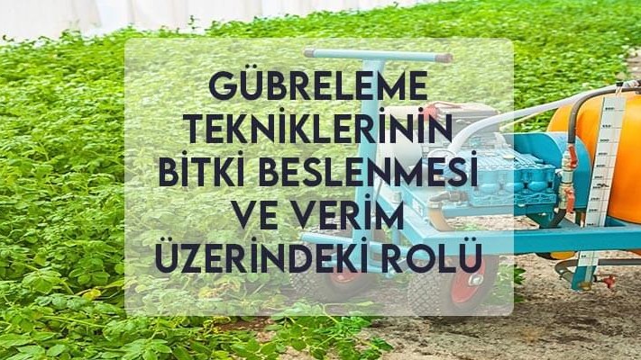 Gübreleme Tekniklerinin Bitki Beslenmesi ve Verim Üzerindeki Rolü Gübreleme Tekniklerinin Bitki Beslenmesi ve Verim Üzerindeki Rolü