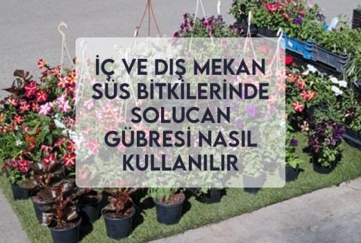 İç ve Dış Mekan Süs Bitkilerinde Solucan Gübresi Nasıl Kullanılır