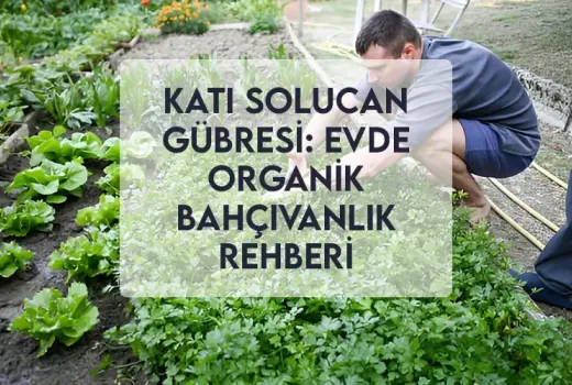 Katı Solucan Gübresi: Evde Organik Bahçıvanlık Rehberi