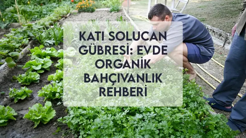 Katı Solucan Gübresi: Evde Organik Bahçıvanlık Rehberi Katı Solucan Gübresi: Evde Organik Bahçıvanlık Rehberi