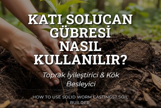 Katı Solucan Gübresi Nasıl Kullanılır?
