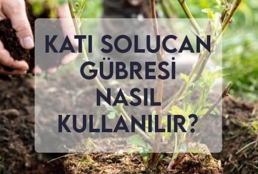 Katı Solucan Gübresi Nasıl Kullanılır? Katı Solucan Gübresi Nasıl Kullanılır?