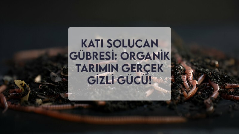Katı Solucan Gübresi: Organik Tarımın Gerçek Gizli Gücü! Katı Solucan Gübresi: Organik Tarımın Gerçek Gizli Gücü!