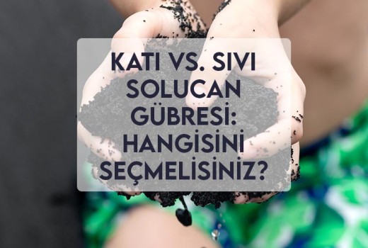 Katı vs. Sıvı Solucan Gübresi: Hangisini Seçmelisiniz? Katı vs. Sıvı Solucan Gübresi: Hangisini Seçmelisiniz?