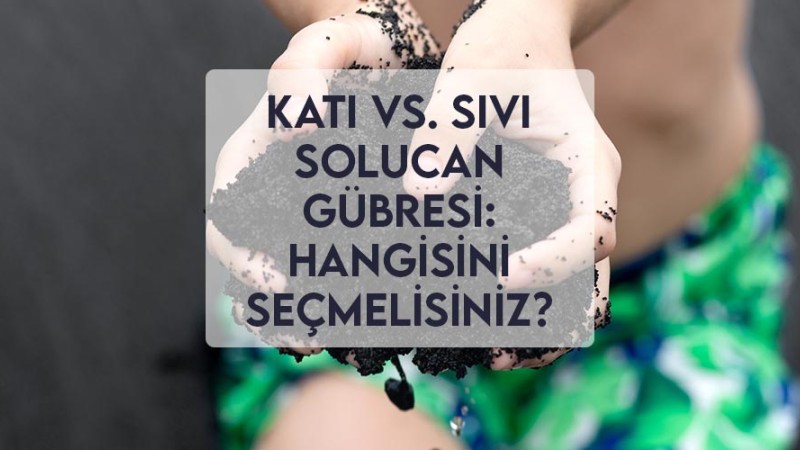 Katı vs. Sıvı Solucan Gübresi: Hangisini Seçmelisiniz? Katı vs. Sıvı Solucan Gübresi: Hangisini Seçmelisiniz?