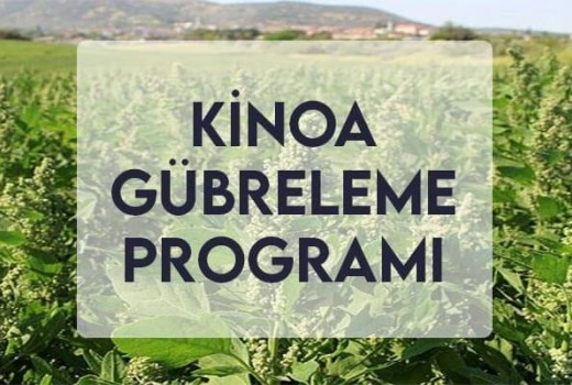 Kinoa Gübreleme Programı Kinoa Gübreleme Programı