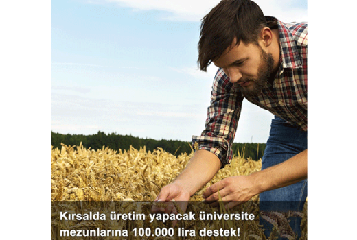 Kırsalda Üretim Yapacak Üniversite Mezunlarına 100.000 Lira Destek! Kırsalda Üretim Yapacak Üniversite Mezunlarına 100.000 Lira Destek!