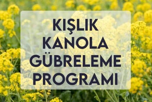 Kışlık Kanola Gübreleme Programı Kışlık Kanola Gübreleme Programı