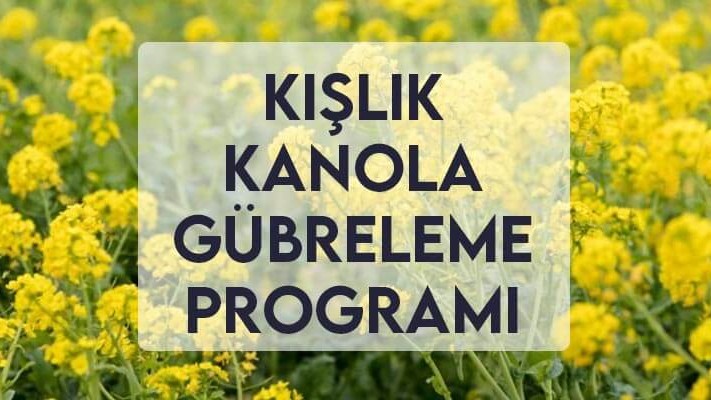 Kışlık Kanola Gübreleme Programı Kışlık Kanola Gübreleme Programı