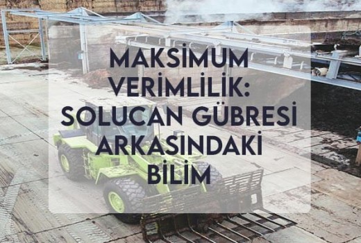 Maksimum Verimlilik: Solucan Gübresi Arkasındaki Bilim Maksimum Verimlilik: Solucan Gübresi Arkasındaki Bilim