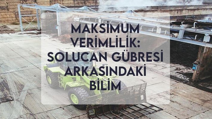 Maksimum Verimlilik: Solucan Gübresi Arkasındaki Bilim Maksimum Verimlilik: Solucan Gübresi Arkasındaki Bilim