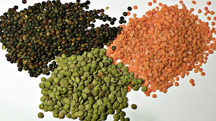 Mercimekte Solucan Gübresi Kullanımı