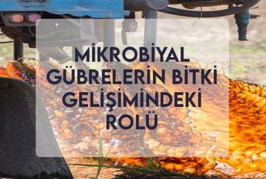 Mikrobiyal Gübrelerin Bitki Gelişimindeki Rolü Mikrobiyal Gübrelerin Bitki Gelişimindeki Rolü