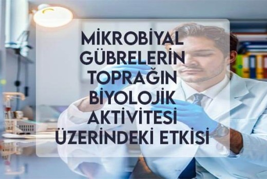 Mikrobiyal Gübrelerin Toprağın Biyolojik Aktivitesi Üzerindeki Etkisi Mikrobiyal Gübrelerin Toprağın Biyolojik Aktivitesi Üzerindeki Etkisi