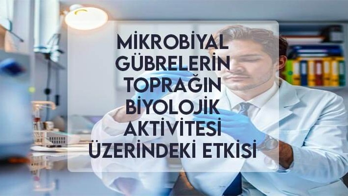 Mikrobiyal Gübrelerin Toprağın Biyolojik Aktivitesi Üzerindeki Etkisi Mikrobiyal Gübrelerin Toprağın Biyolojik Aktivitesi Üzerindeki Etkisi