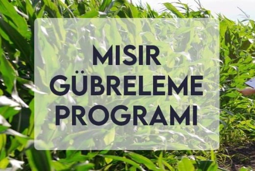 Mısır Gübreleme Programı Mısır Gübreleme Programı