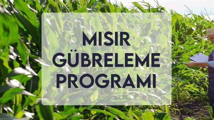 Mısır Gübreleme Programı
