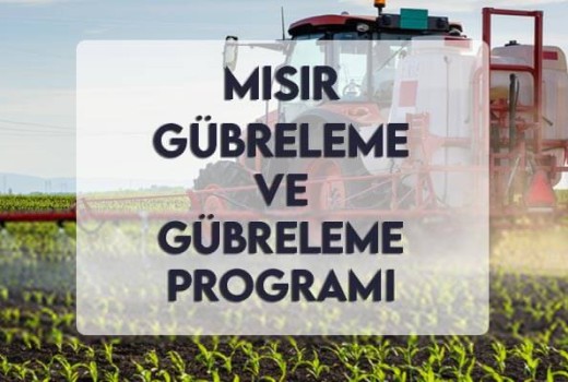 Mısır Gübreleme ve Gübreleme Programı Mısır Gübreleme ve Gübreleme Programı