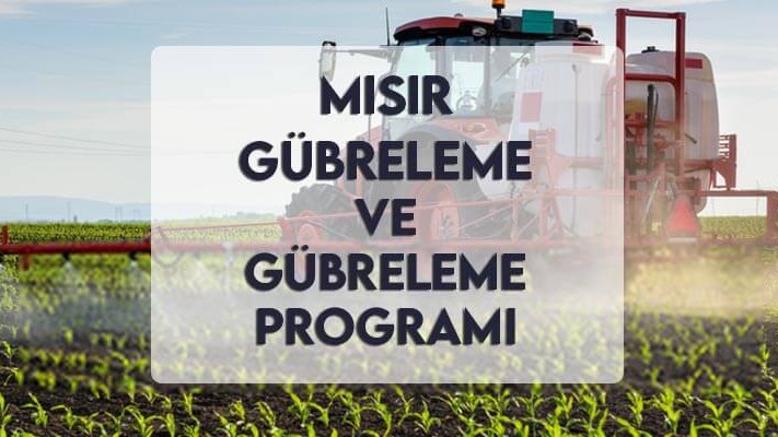 Mısır Gübreleme ve Gübreleme Programı