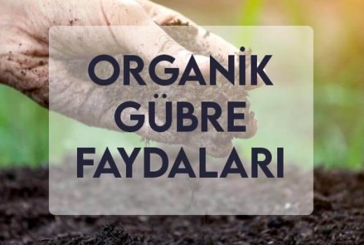 Organik Gübre Faydaları Organik Gübre Faydaları