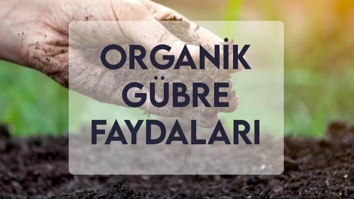 Organik Gübre Faydaları Organik Gübre Faydaları