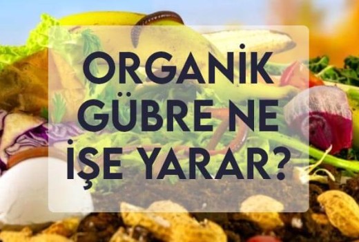 Organik Gübre Ne İşe Yarar? Organik Gübre Ne İşe Yarar?