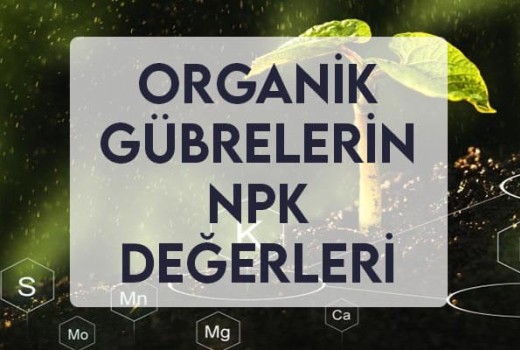 Organik Gübrelerin NPK Değerleri Organik Gübrelerin NPK Değerleri