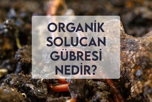 Organik Solucan Gübresi Nedir? Organik Solucan Gübresi Nedir?
