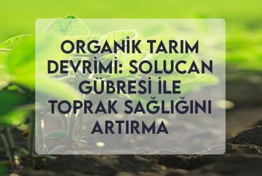Organik Tarım Devrimi: Solucan Gübresi ile Toprak Sağlığını Artırma Organik Tarım Devrimi: Solucan Gübresi ile Toprak Sağlığını Artırma
