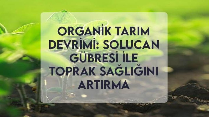 Organik Tarım Devrimi: Solucan Gübresi ile Toprak Sağlığını Artırma