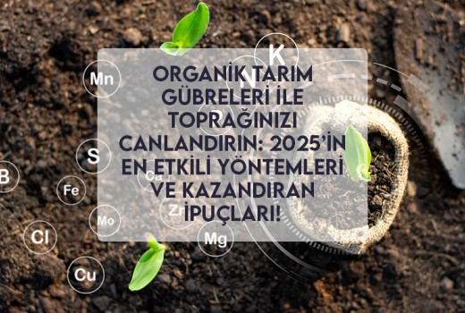 Organik Tarım Gübreleri ile Toprağınızı Canlandırın: 2025’in En Etkili Yöntemleri ve Kazandıran İpuçları! Organik Tarım Gübreleri ile Toprağınızı Canlandırın: 2025’in En Etkili Yöntemleri ve Kazandıran İpuçları!