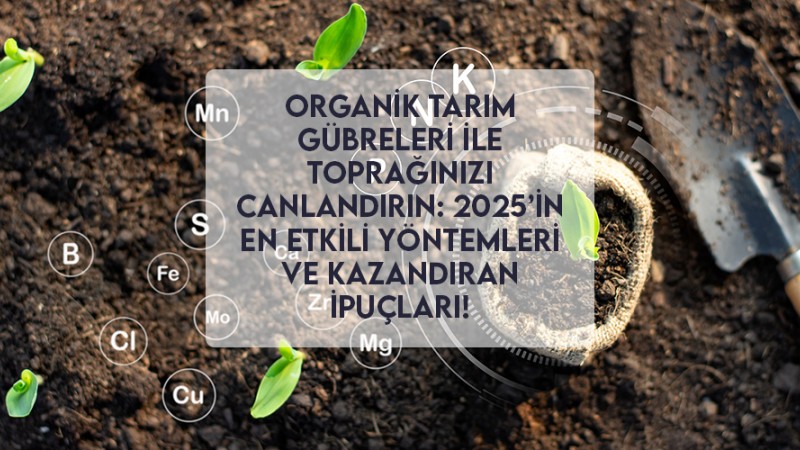 Organik Tarım Gübreleri ile Toprağınızı Canlandırın: 2025’in En Etkili Yöntemleri ve Kazandıran İpuçları! Organik Tarım Gübreleri ile Toprağınızı Canlandırın: 2025’in En Etkili Yöntemleri ve Kazandıran İpuçları!