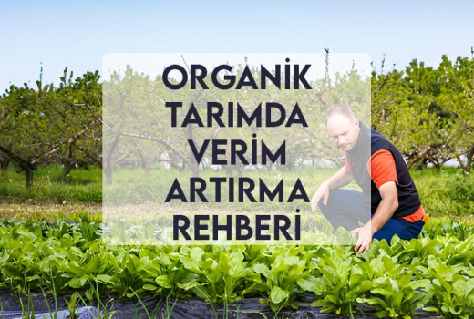 Organik Tarımda Verim Artırma Rehberi Organik Tarımda Verim Artırma Rehberi
