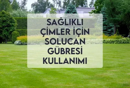 Sağlıklı Çimler için Solucan Gübresi Kullanımı Sağlıklı Çimler için Solucan Gübresi Kullanımı