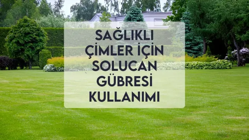 Sağlıklı Çimler için Solucan Gübresi Kullanımı Sağlıklı Çimler için Solucan Gübresi Kullanımı