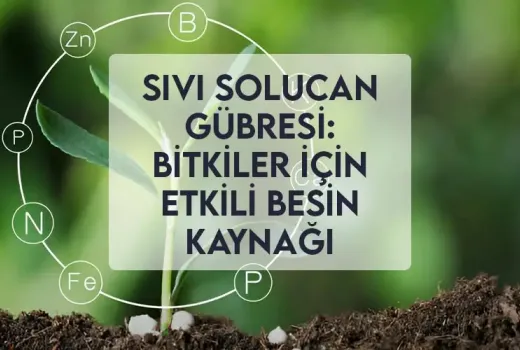 Sıvı Solucan Gübresi: Bitkiler İçin Etkili Besin Kaynağı