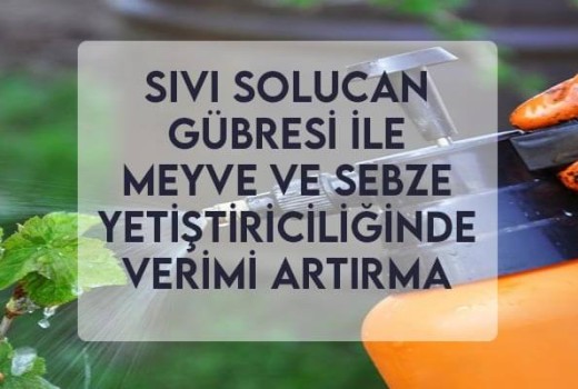 Sıvı Solucan Gübresi ile Meyve ve Sebze Yetiştiriciliğinde Verimi Artırma Sıvı Solucan Gübresi ile Meyve ve Sebze Yetiştiriciliğinde Verimi Artırma