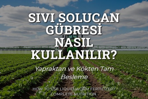 Sıvı Solucan Gübresi Nasıl Kullanılır?