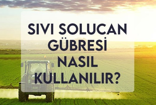Sıvı Solucan Gübresi Nasıl Kullanılır? Sıvı Solucan Gübresi Nasıl Kullanılır?
