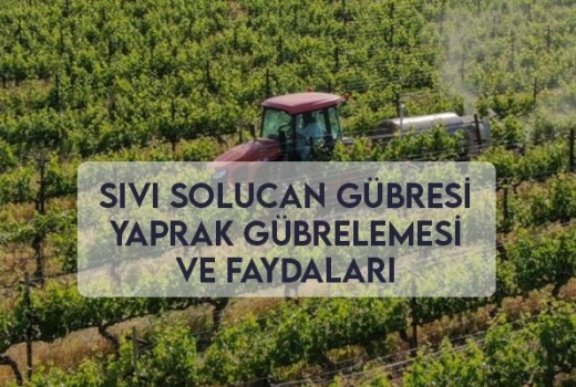 Sıvı Solucan Gübresi Yaprak Gübrelemesi Ve Faydaları Sıvı Solucan Gübresi Yaprak Gübrelemesi Ve Faydaları
