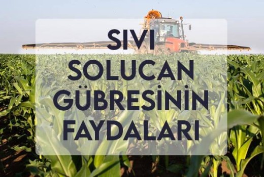 Sıvı Solucan Gübresinin Faydaları Sıvı Solucan Gübresinin Faydaları