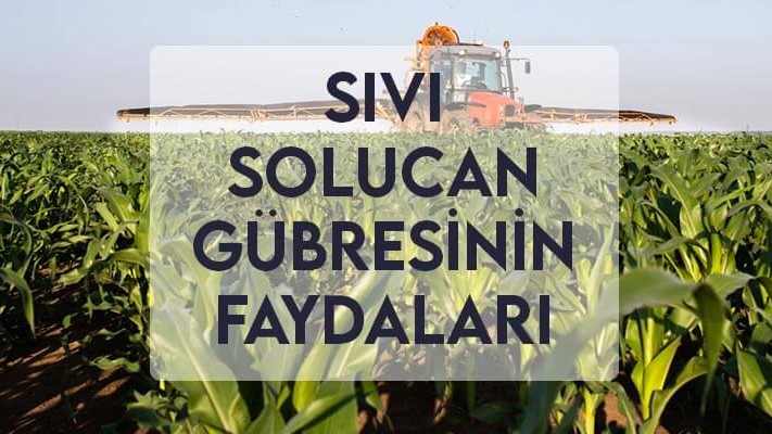 Sıvı Solucan Gübresinin Faydaları Sıvı Solucan Gübresinin Faydaları