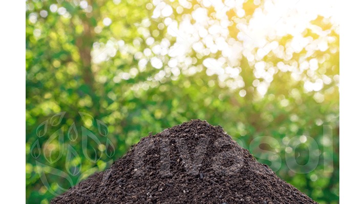 Solucan gübreciliği: Solucan Gübresi Nasıl yapılır, Nasıl satılır? Solucan gübreciliği: Solucan Gübresi Nasıl yapılır, Nasıl satılır?