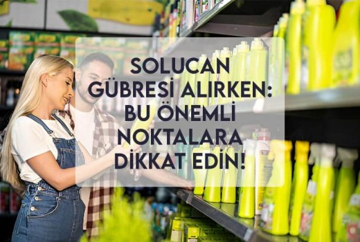 Solucan Gübresi Alırken: Bu Önemli Noktalara Dikkat Edin! Solucan Gübresi Alırken: Bu Önemli Noktalara Dikkat Edin!
