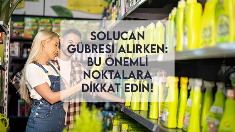 Solucan Gübresi Alırken: Bu Önemli Noktalara Dikkat Edin! Solucan Gübresi Alırken: Bu Önemli Noktalara Dikkat Edin!