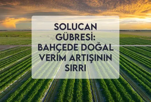 Solucan Gübresi: Bahçede Doğal Verim Artışının Sırrı